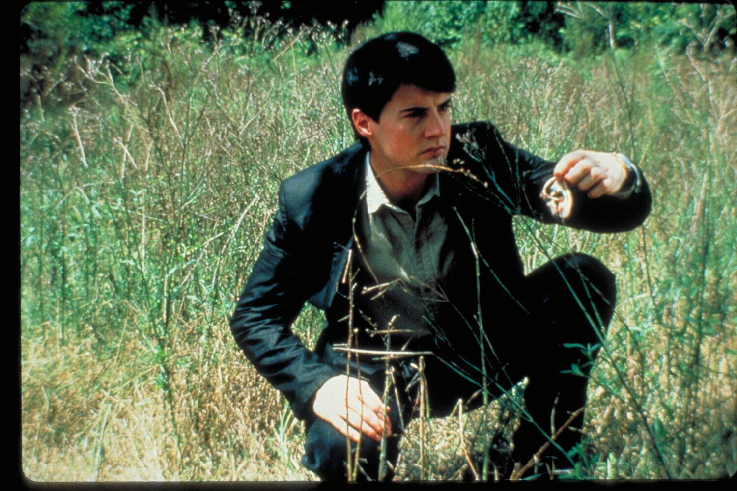 デヴィッド・リンチの映画『ブルーベルベット』4K版が新宿シネマカリテ