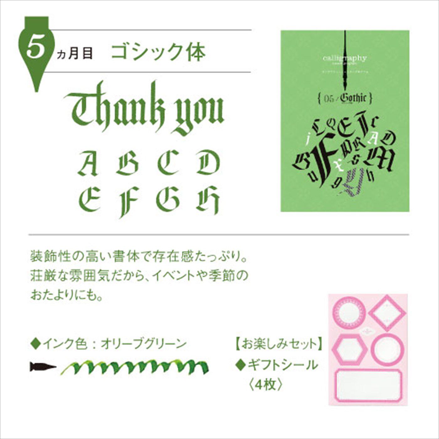 一度書いてみたかった！ 文字に魅せられる生活 カリグラフィーレッスン