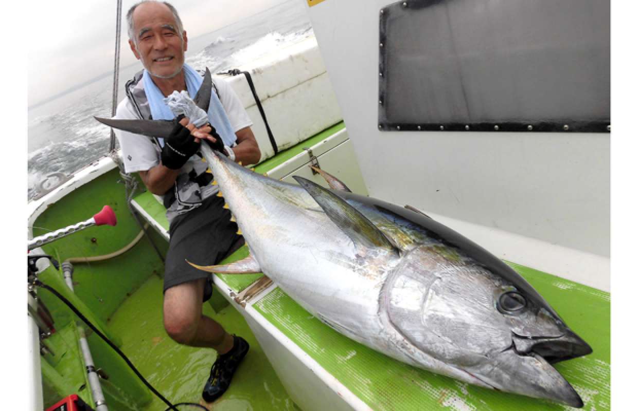 出た！40kg超！神奈川県・相模湾キハダ＆本ガツオ、俄然沸騰中