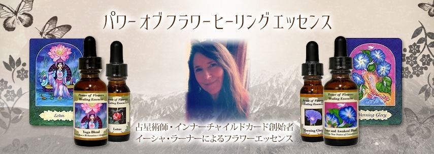 シルバーソード（霊的目覚めと高次の自己と真実とつながる）《パワー