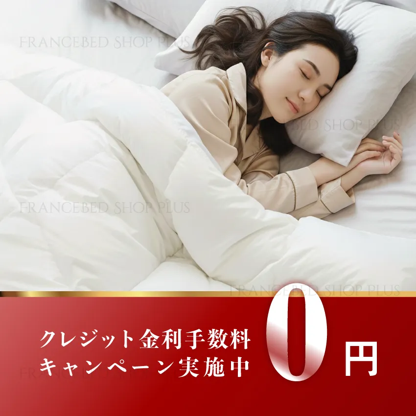 フランスベッド 羽毛ふとん ヴェルモラ03 | 【公式通販】フランス