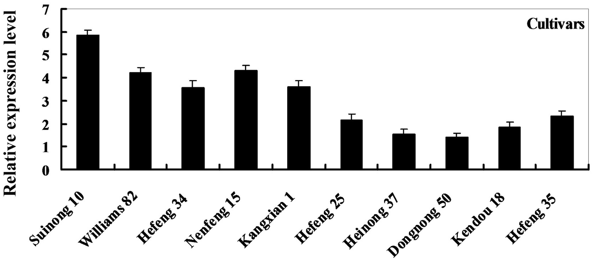 Frontiers | A Novel Soybean Dirigent Gene GmDIR22 Contributes to