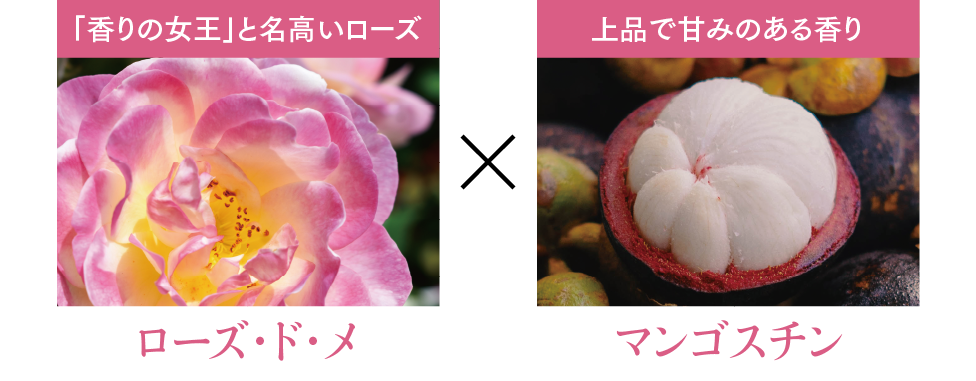 FTCプロフェッショナル スタイリング シャンプー&トリートメント