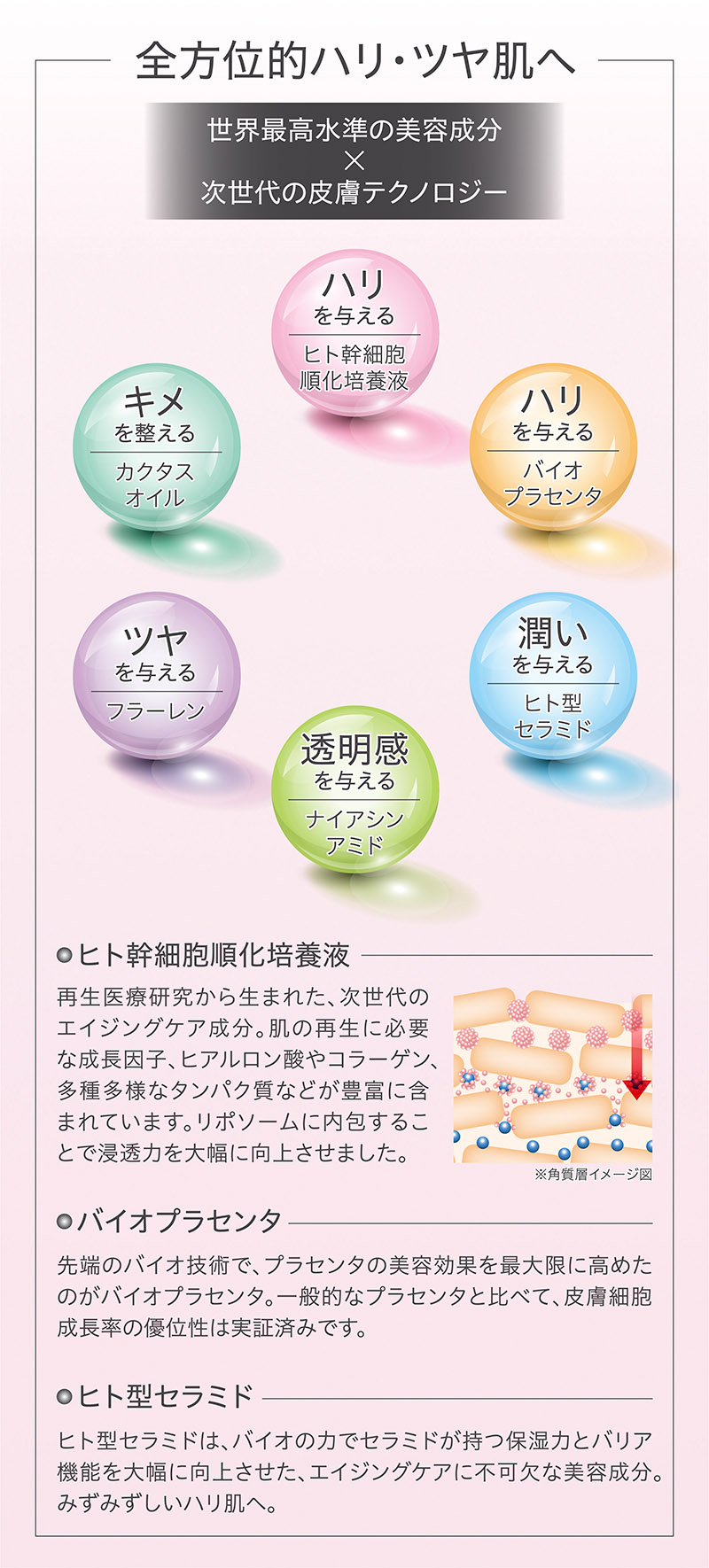 M プロフェッショナルスキンケアプログラム R．A．クリーム