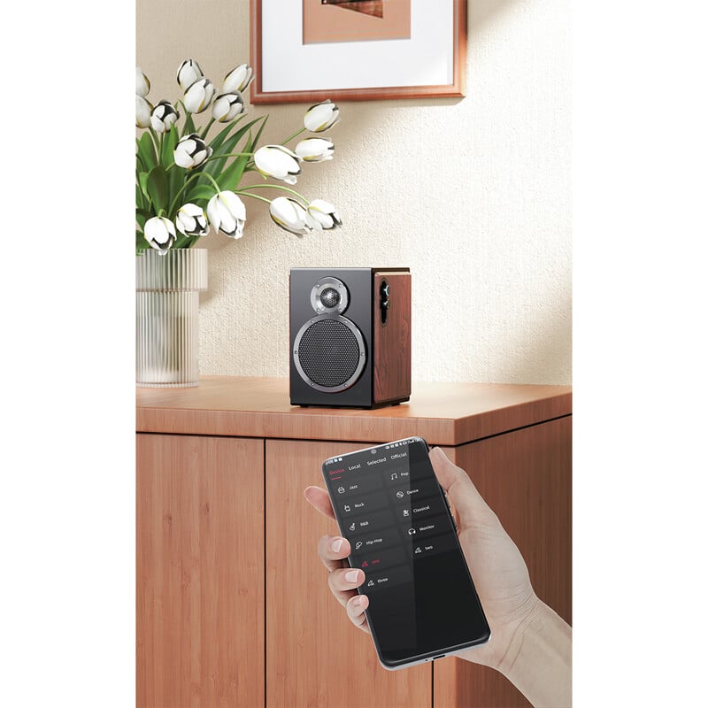 FIIO SA1 Black [FIO-SA1-B] 新品｜フジヤエービック