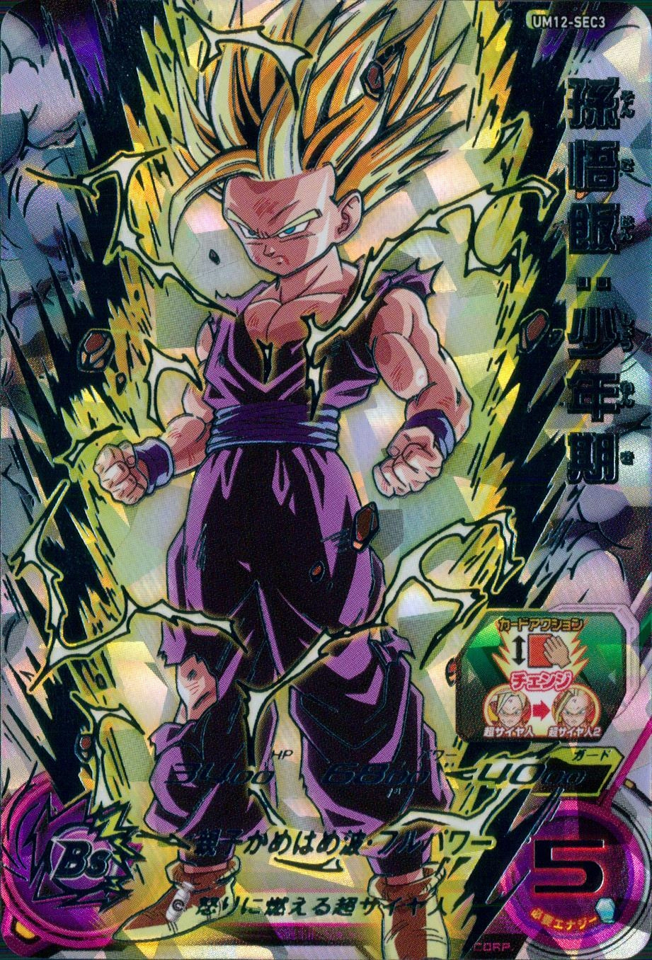 ふるいちオンライン - トレカ//DHUM12-SEC3 孫悟飯:少年期 【SEC】