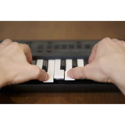 ヤマハ YAMAHA 電子キーボード [37ミニ鍵盤] PSS-A50 の通販
