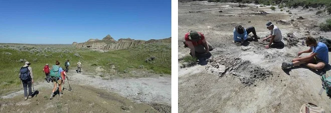 米国における恐竜絶滅層（K-Pg境界層）の調査 | 国立科学博物館