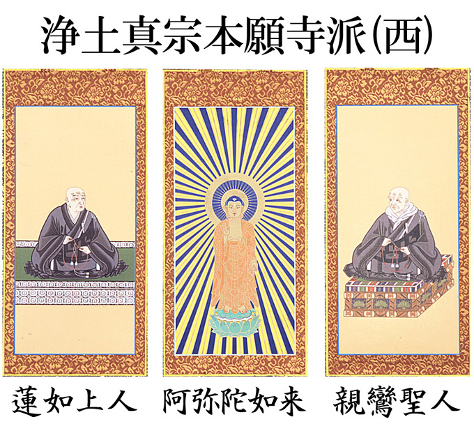 仏壇用掛け軸【50代用】 浄土真宗 本願寺派【お西】3幅セット 高さ32.5