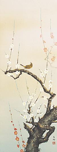 紅白梅に鴬 小西春玲 尺五立 （冬）！ 冬 - 掛け軸（掛軸）販売通販