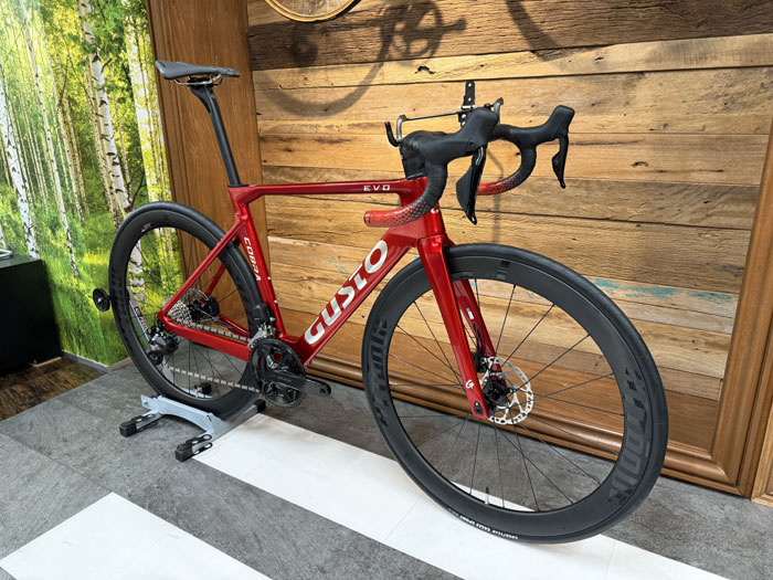 GUSTO（グスト）・COBRA EVO SPORT TE（コブラエボスポーツTE