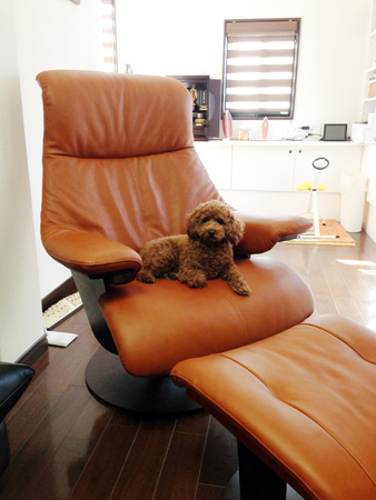 オーナーズボイス｜THE FIRST（ザ・ファースト） - カリモクの新型