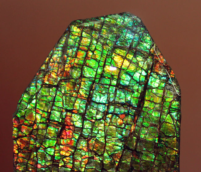 これがドラゴンスキンだ！これぞ宝石アンモライトというべき最高の