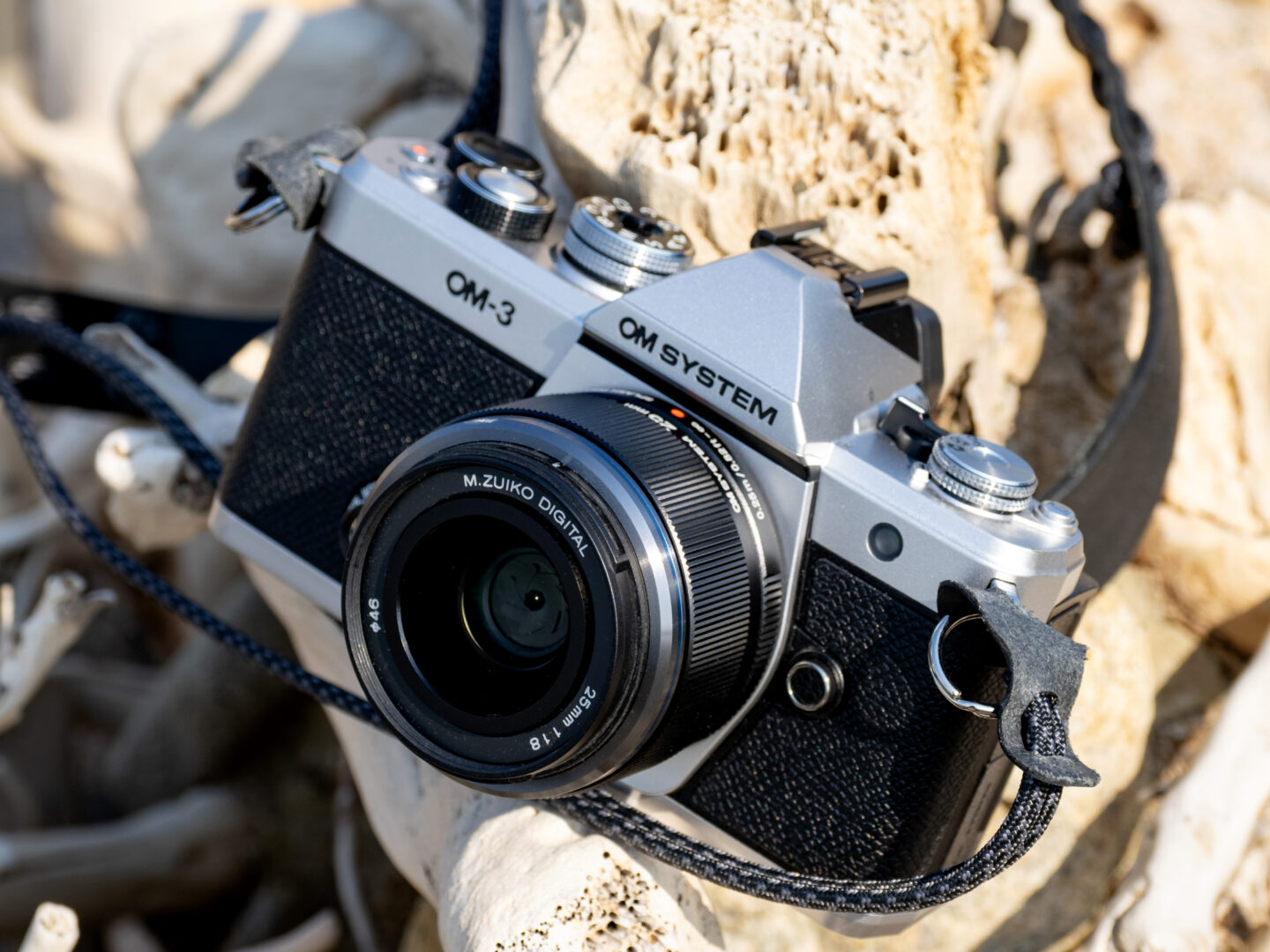 シンプル＆軽量な標準レンズで粋な撮影を楽しもう OM SYSTEM M.ZUIKO