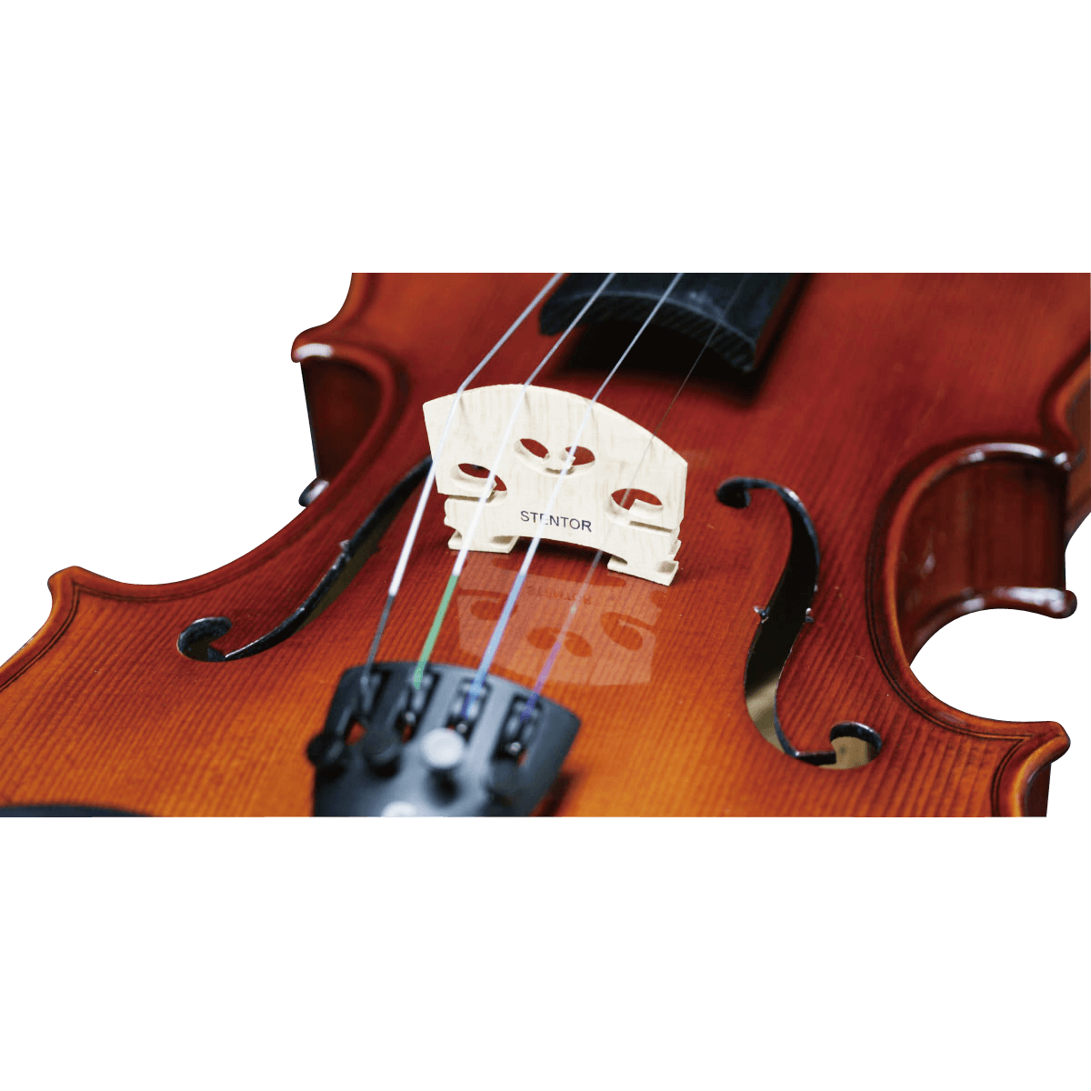 SV-180 1/4 | キクタニミュージック