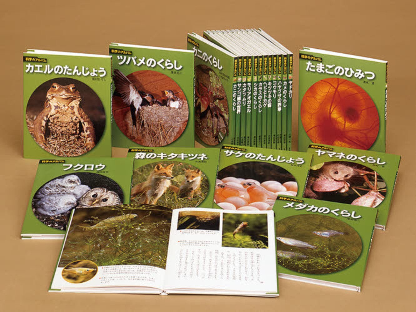科学のアルバム・動物・鳥編（全20巻セット） - 紀伊國屋書店ウェブ