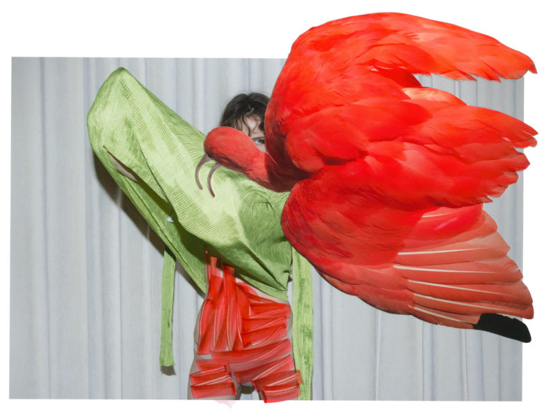 Program 2024: Viviane Sassen | KYOTOGRAPHIE 京都国際写真祭