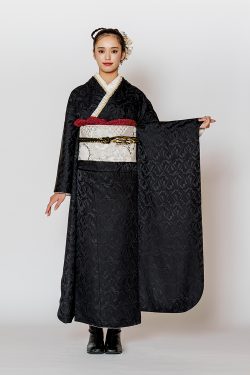 P1194_image2-250x375.jpg