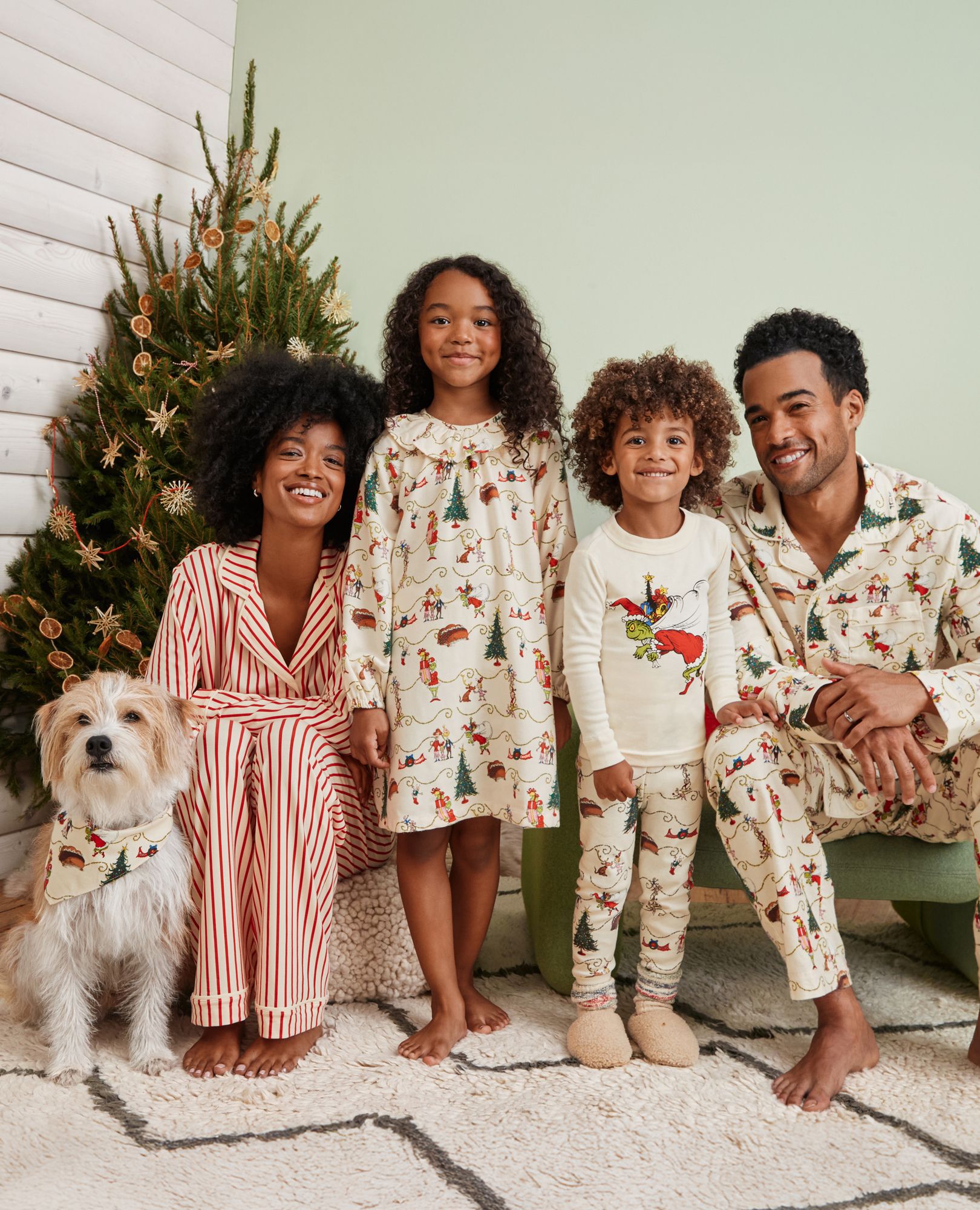 Adult Dr. Seuss Grinch Flannel Pajama Pants | Hanna Andersson