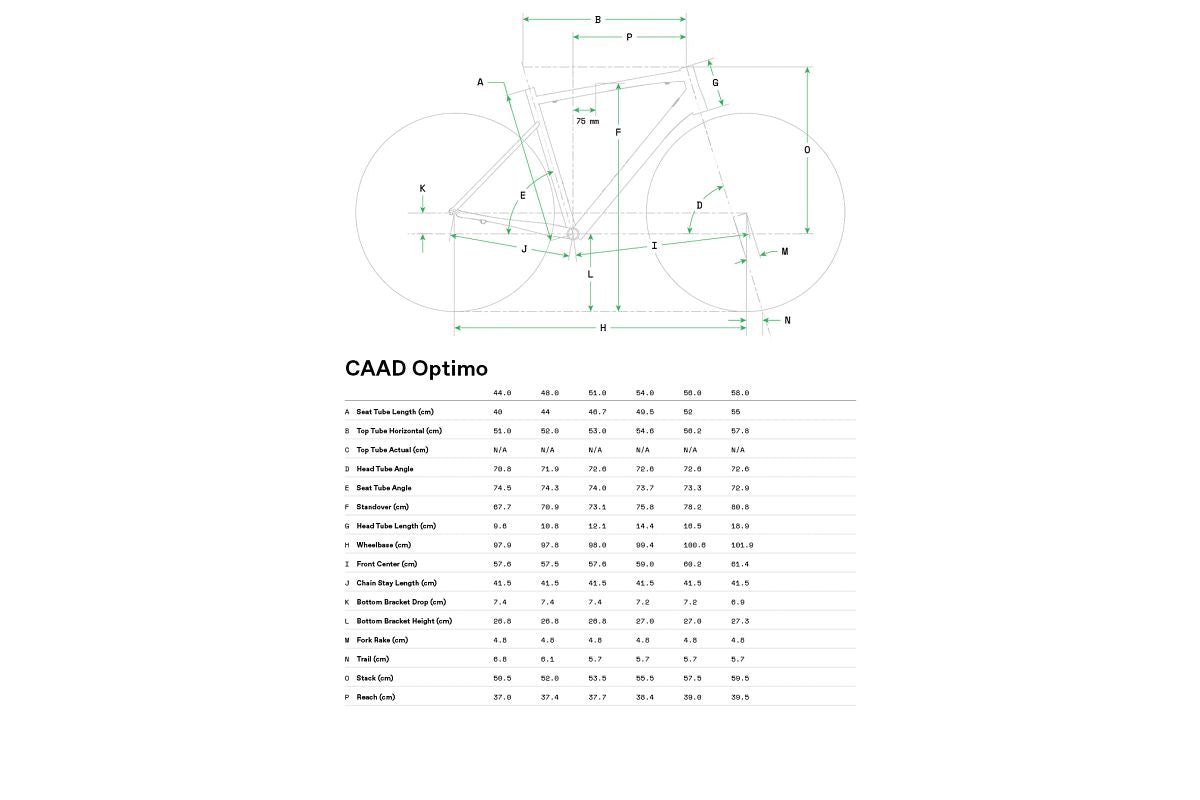 Cannondale CAAD Optimo 1 – Incycle Bicycles
