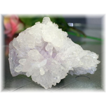 amethyst-flower-161-2-350x350.jpg