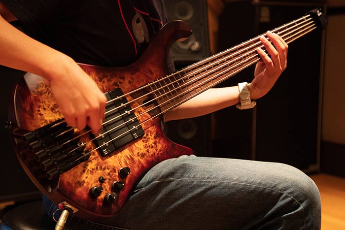 EHB1005F | EHB | ELECTRIC BASSES | PRODUCTS | Ibanez guitars