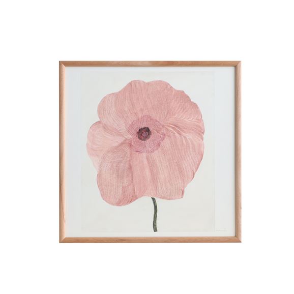 coricci コリッチ｜IDEE SHOP Online