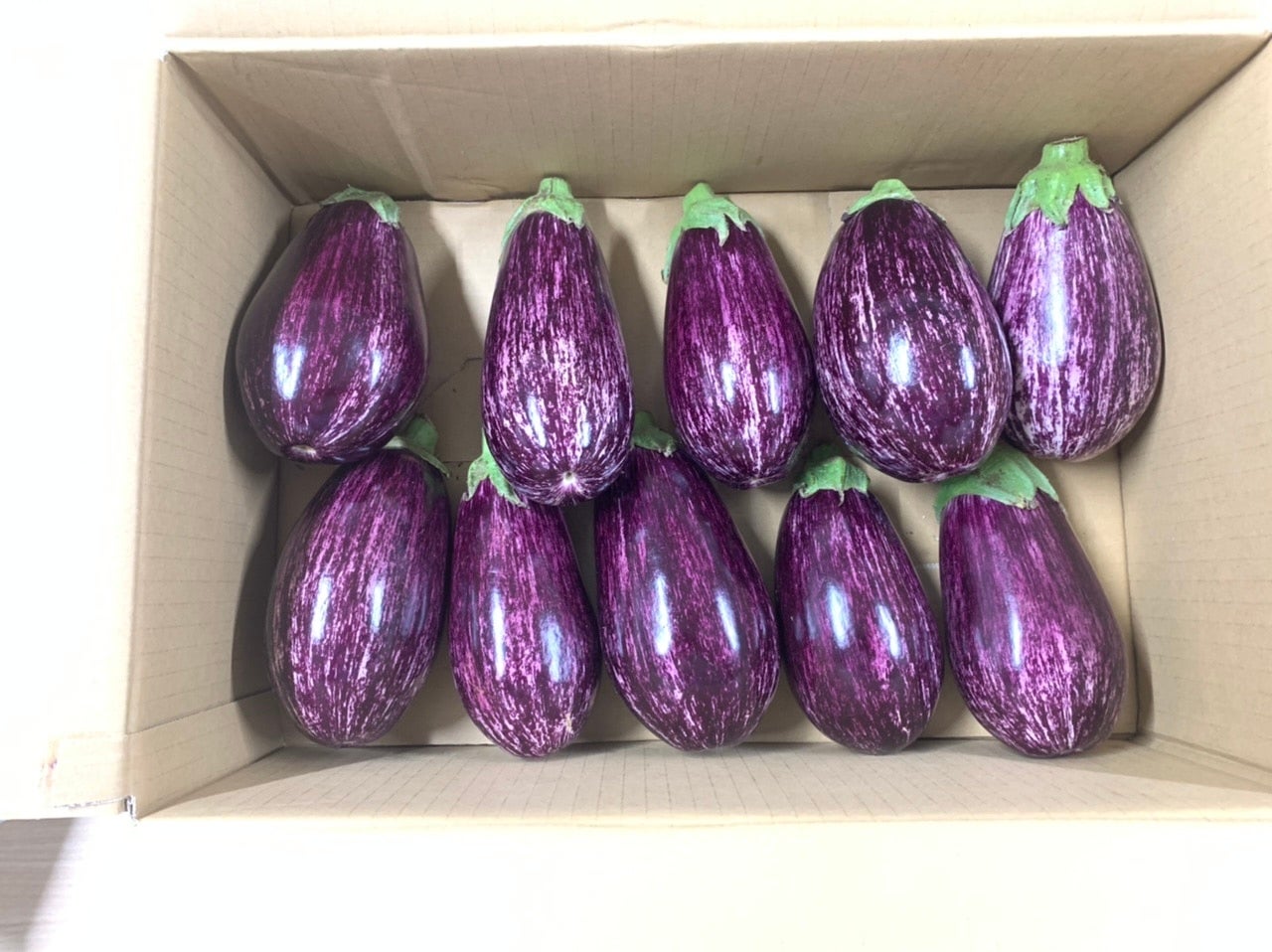 イタリアなす（ゼブラなす）（JA碓氷安中）: 新鮮ぐんまみのり館