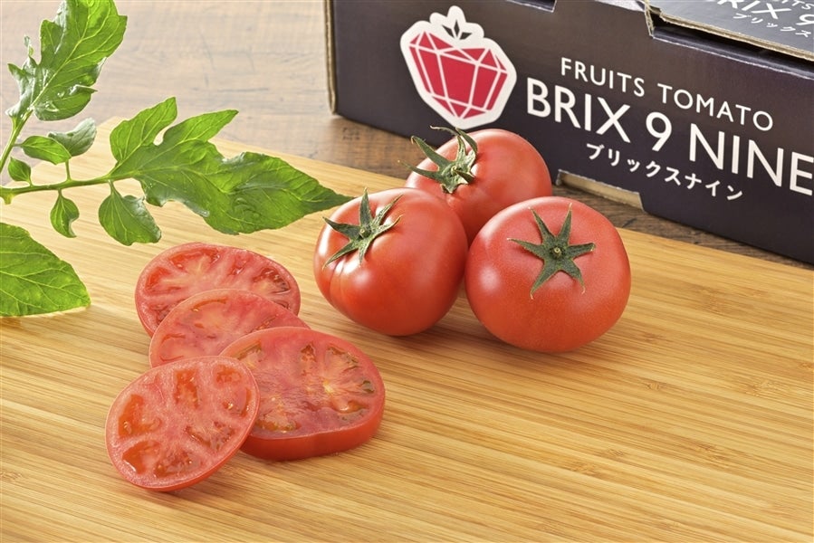 2箱セット ぐんまの誇る「フルーツトマト”ブリックスナイン”」（JAに