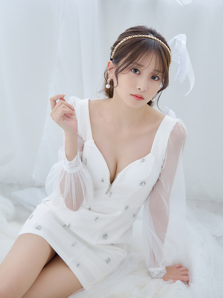 ジップアップドレス/チュール袖/レース/ビジュー/シアー/タイト/透け