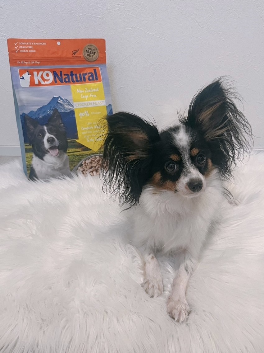 K9ラム・グリーントライプ｜ドッグフード｜K9ナチュラル公式通販サイト