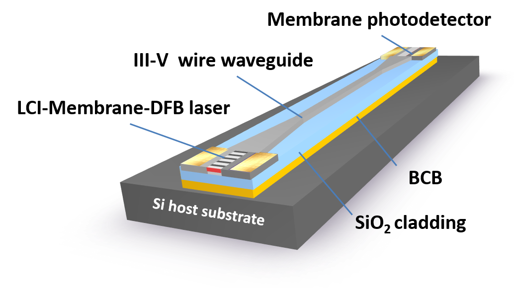 研究内容 – Nishiyama Lab.