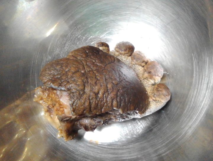 熊の手は結局右手と左手どっちが美味しいのか：①下処理がホントに大変