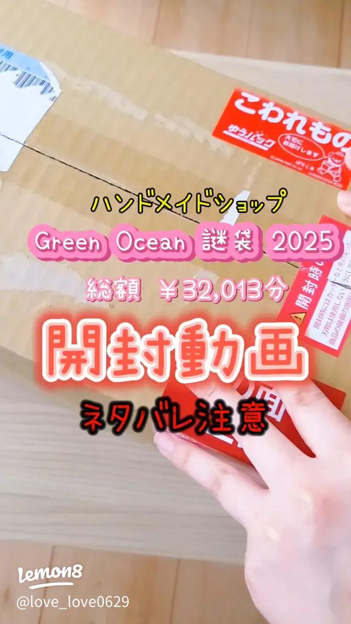 2025年グリーンオーシャンの謎福袋開封レビュー