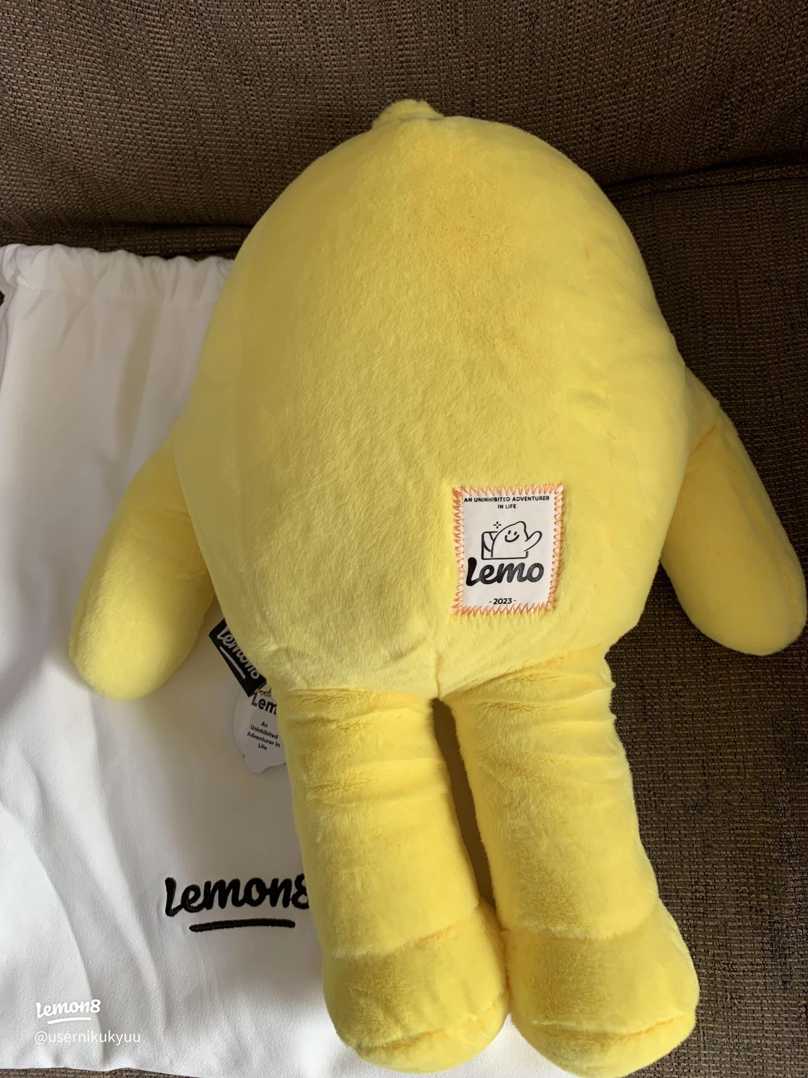 レモンちゃんの可愛いぬいぐるみが届きました！