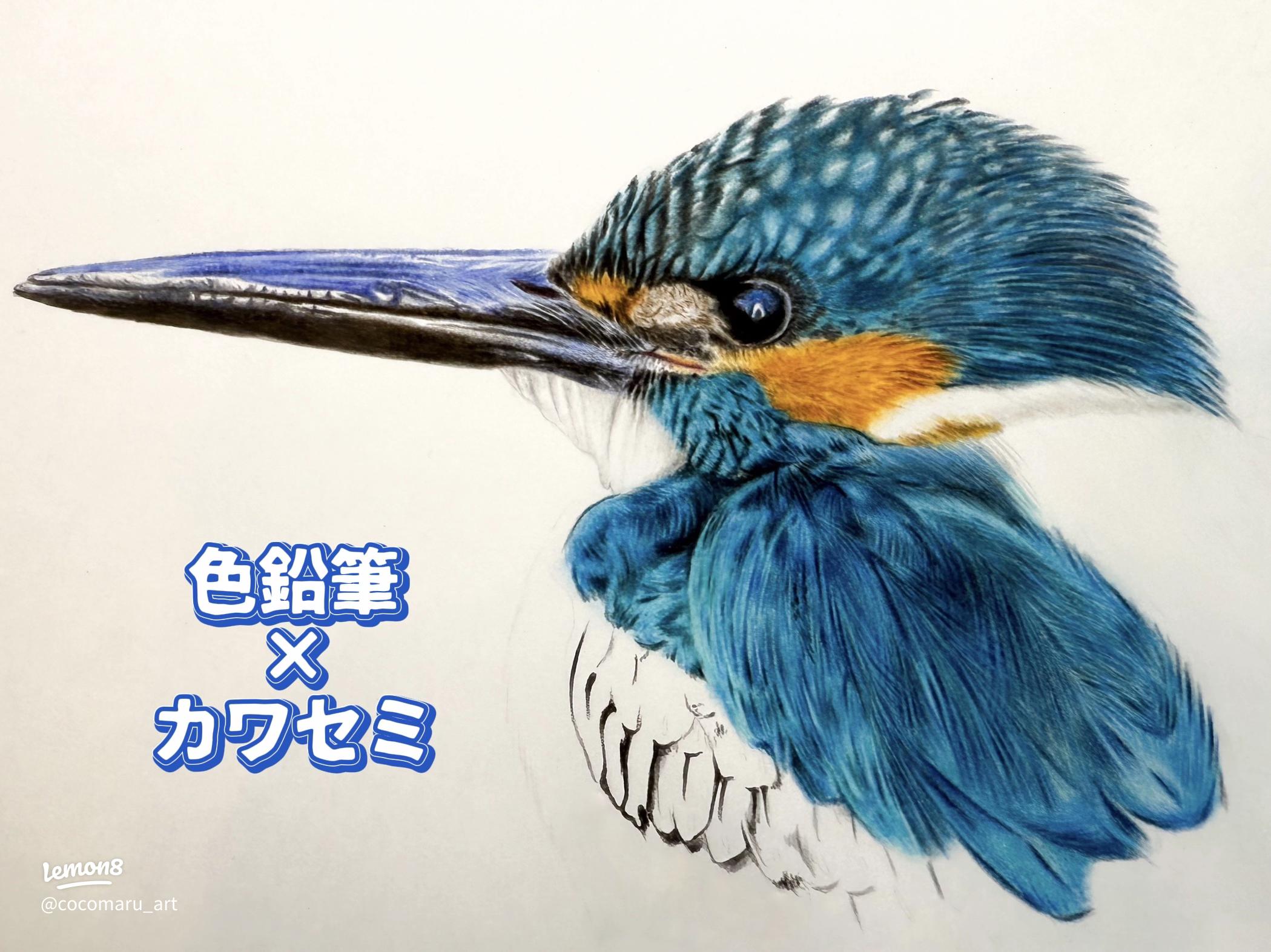 色鉛筆で描いてます☺️✍️ | ここまるが投稿したフォトブック | Lemon8