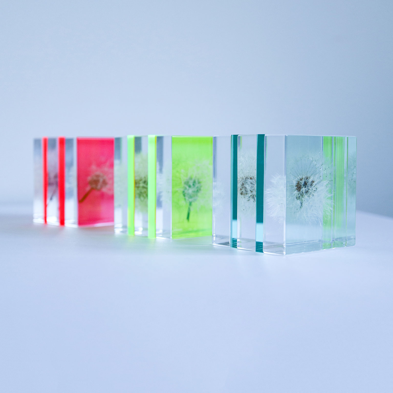 Sola cube（ソラキューブ）Sola cube Slice ガラスカラー | LIVING