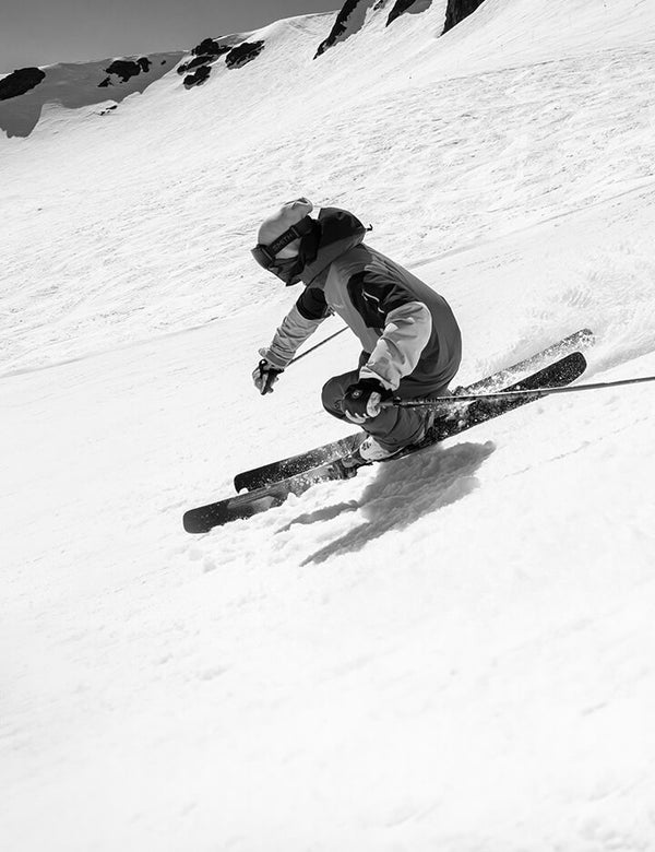 Wildcat 101 - 25/26 - Moment Skis