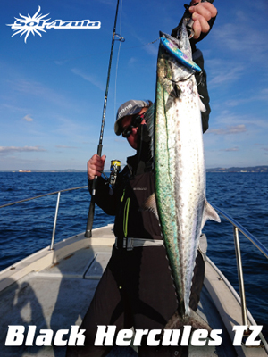 マングローブスタジオ　Black Hercules 7955S Mangrove Studio > Black Hercules