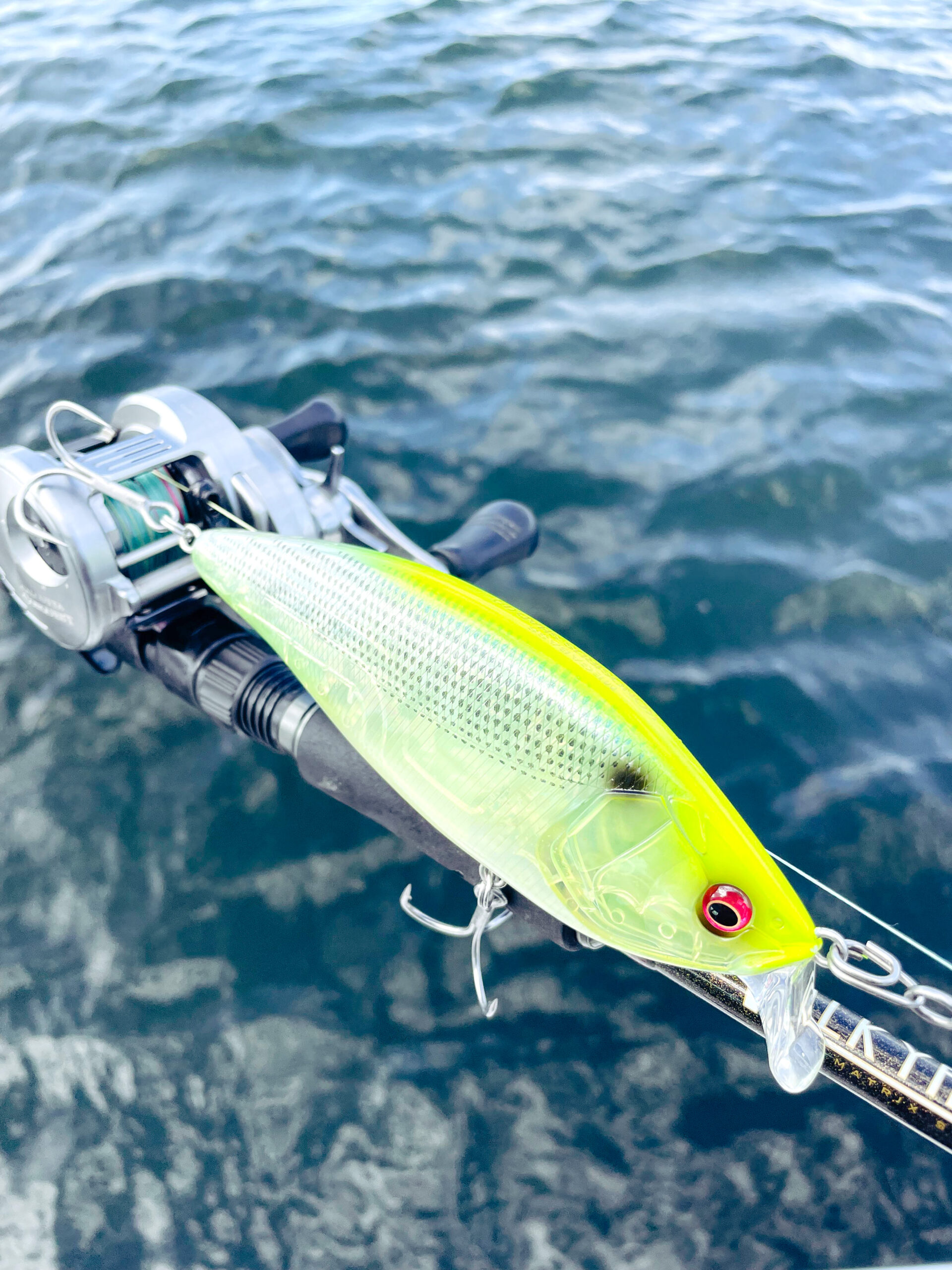 秋のコノシロパターン開幕直前 | Megabass-メガバス