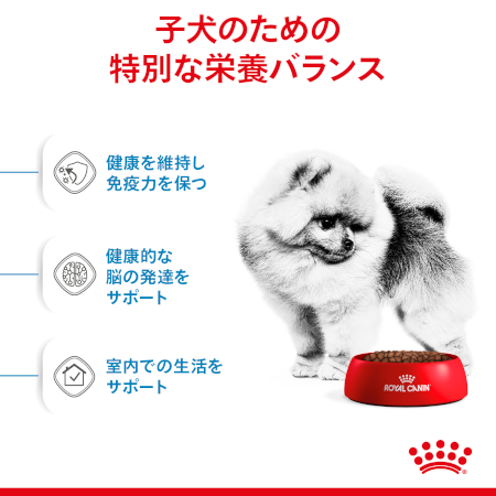 ロイヤルカナン SHN ミニ インドア パピー（子犬用） 【送料無料