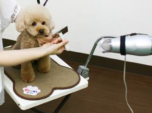 CUPET（グルーミングテーブル） ? MKeLIFE（エムケー精工）