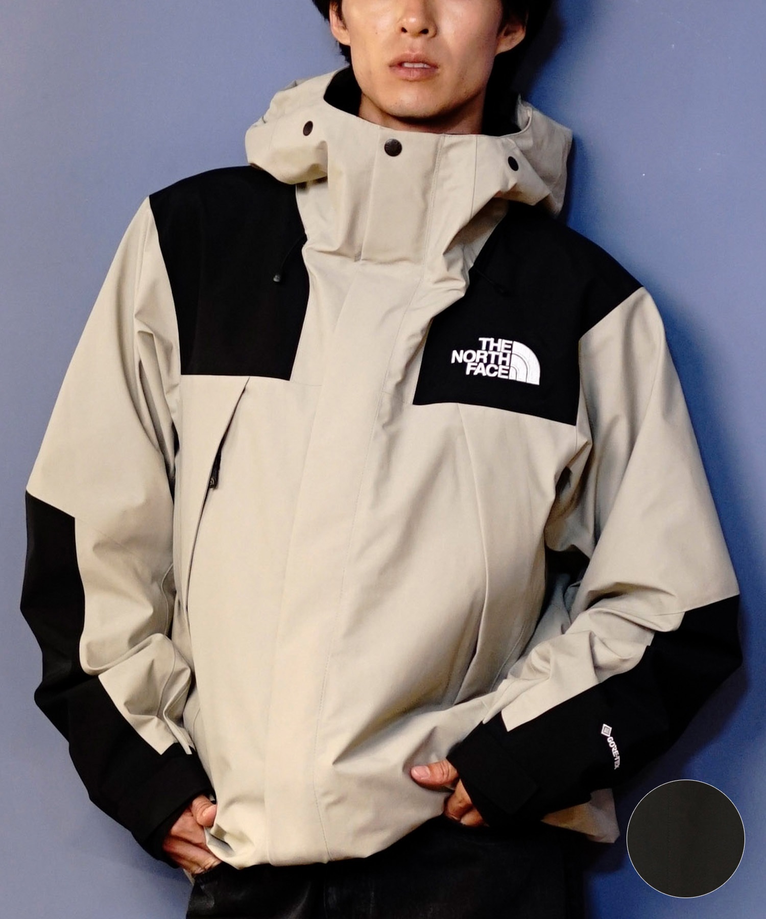 THE NORTH FACE ノースフェイス アウター メンズ 防水 防風 MOUNTAIN