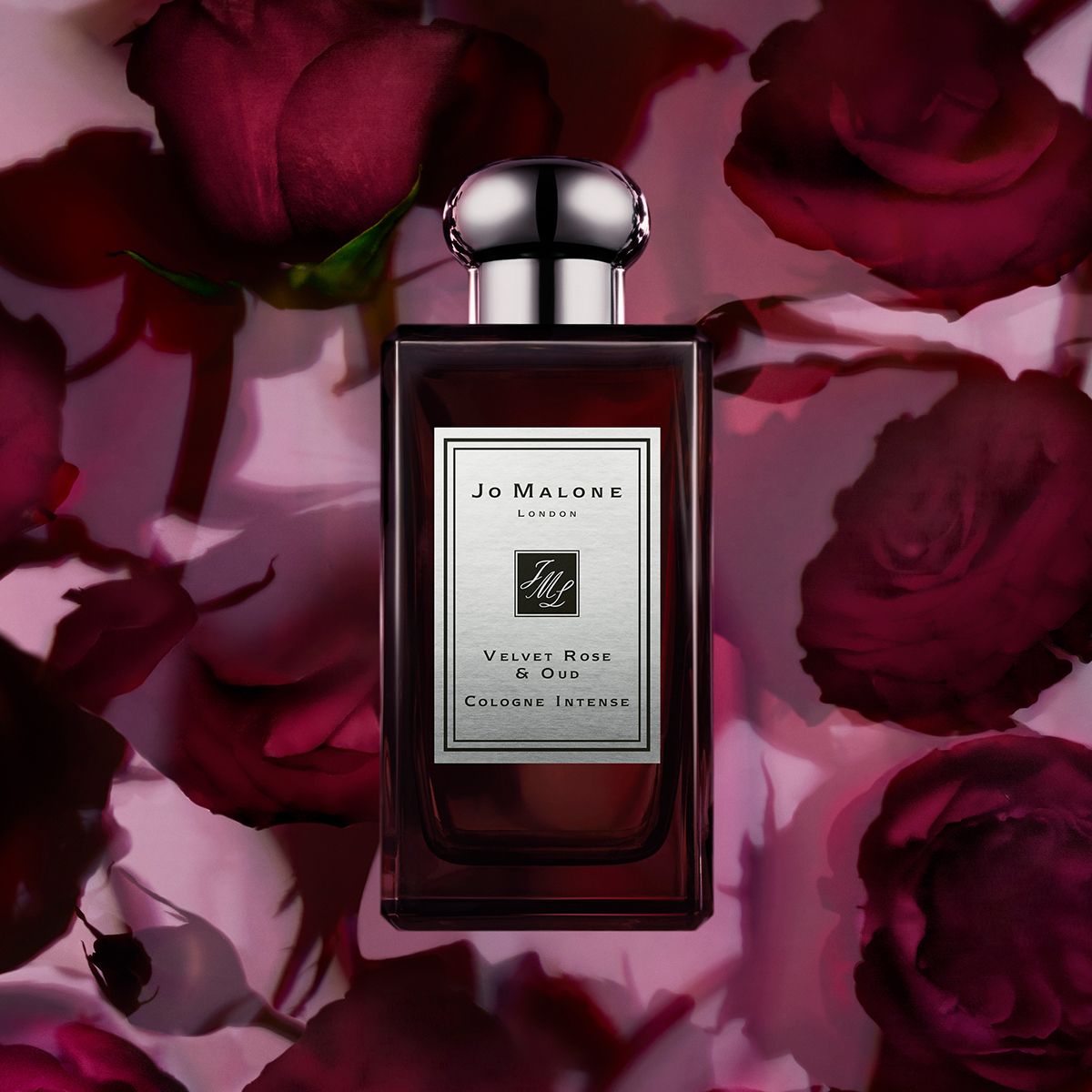 Shop Jo Malone Velvet Rose & Oud Cologne Intense in Qatar