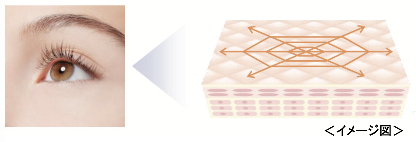 乾燥による小じわを目立たなくし※目もとを明るくハリのある印象へ導く