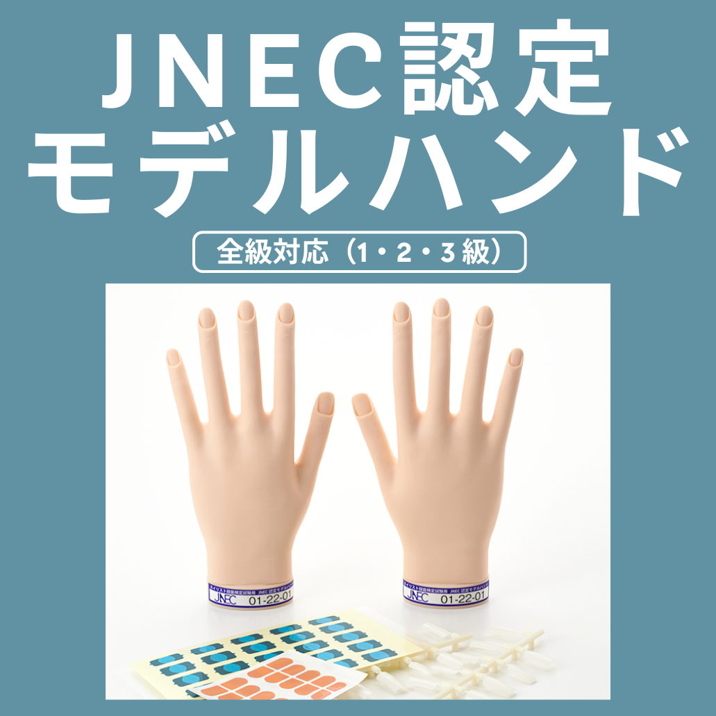 STモデルハンド ネイルチップ | Nail Labo Online Shop ネイルラボ