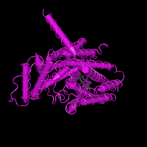 9OKI: Cryo-EM structure of human SV2A in complex with UCBJ and