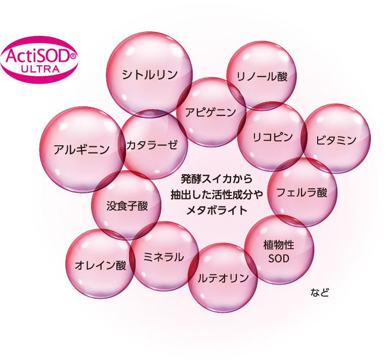 アクティアージュ プレシャス ＋＜ハリ・うるおい化粧水＞ | 洗顔石鹸