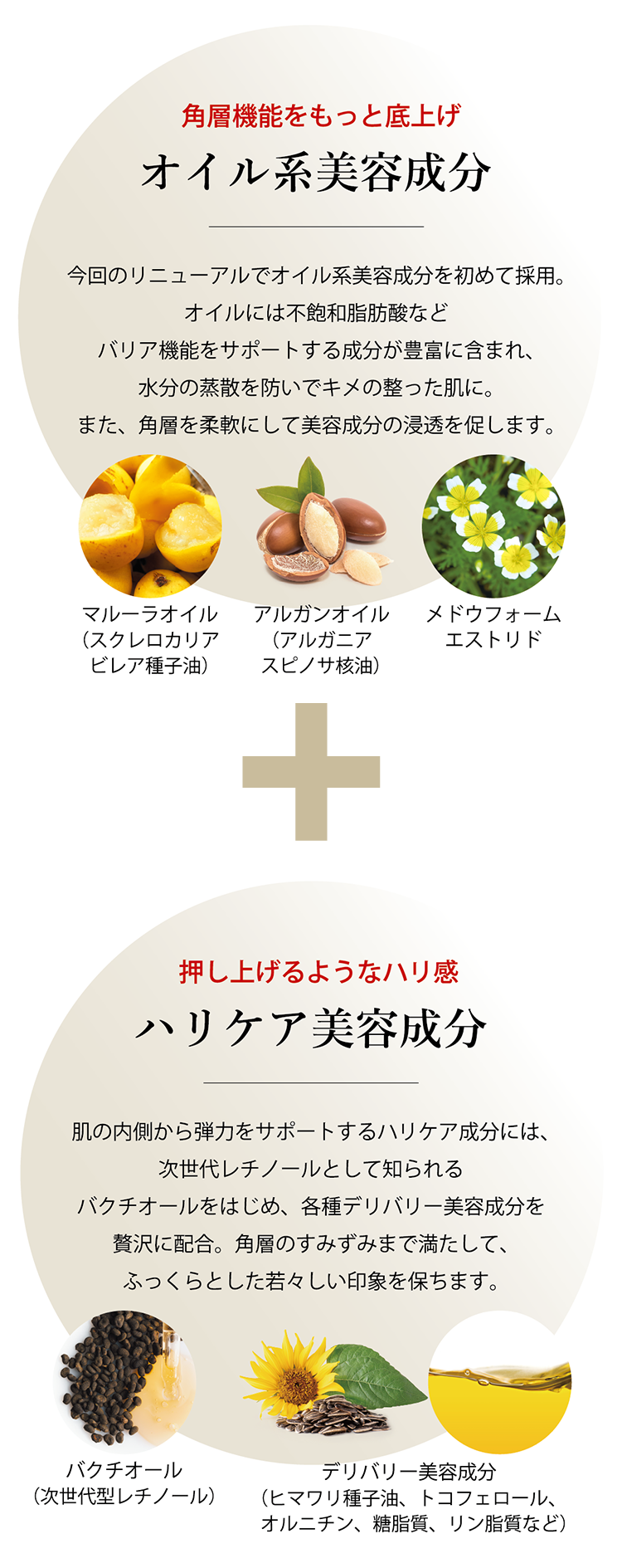 アクティアージュ 3ステップセット＜もっとハリ・うるおいケア