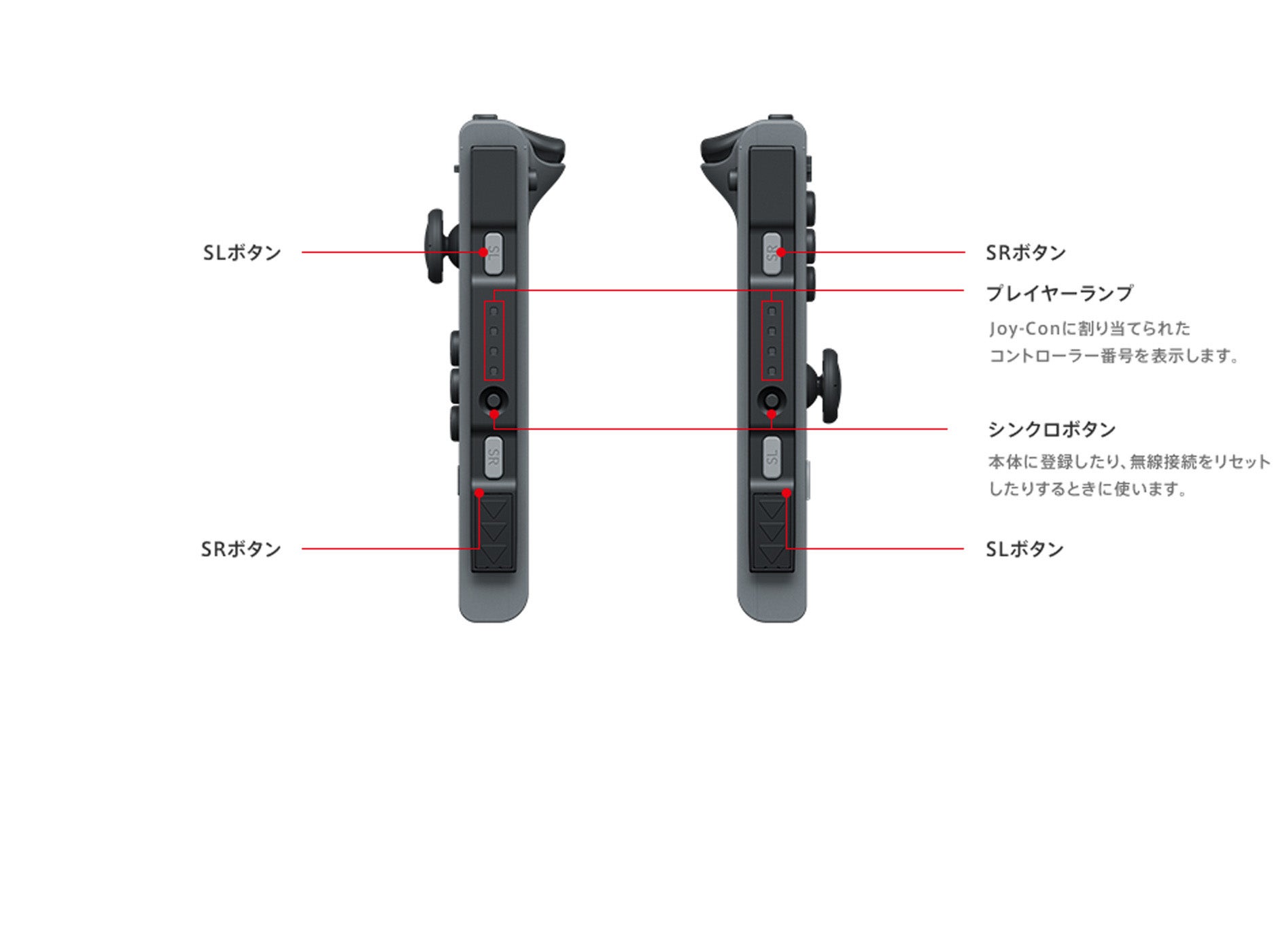 body-switch03-side.jpg